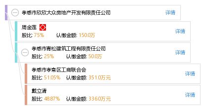 孝感市欣欣大眾房地產開發有限責任公司 工商信息、信用狀況與行業動態全方位解析